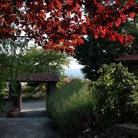 Aparthotel Mansion Viglatoras *