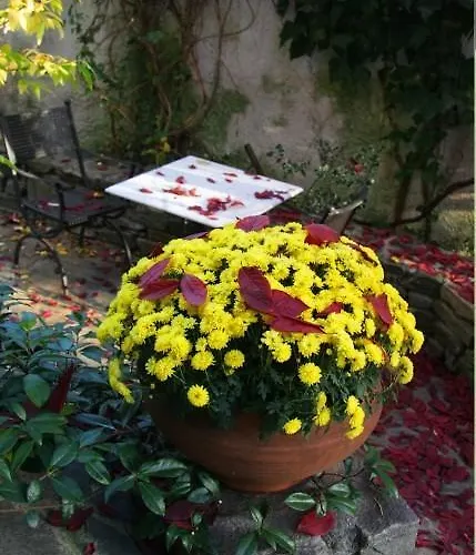 公寓式酒店 维格拉托拉斯公寓