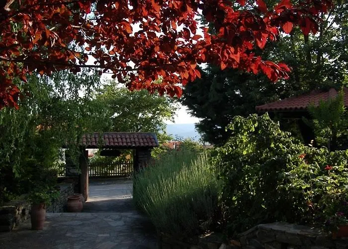 公寓式酒店 维格拉托拉斯公寓 4*