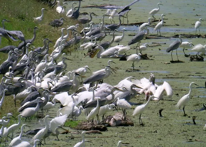 维格拉托拉斯公寓